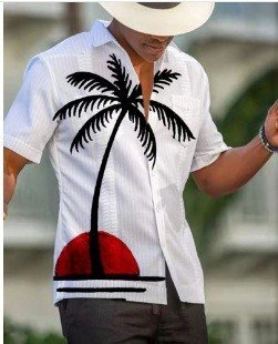 15710568-22e0-4bd1-bf92-2abf489d464e.jpg 3D Summer Casual Printed Hawaiian Shirt Men Vacation Seaside Wear